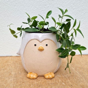 Penguin Planter clay project