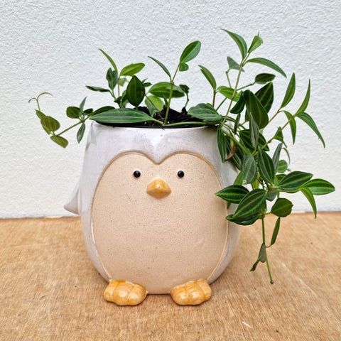 Penguin Planter - Hand-building Clay Class