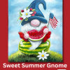 Sweet Summer Gnome - Guided Paint & Sip Canvas Night